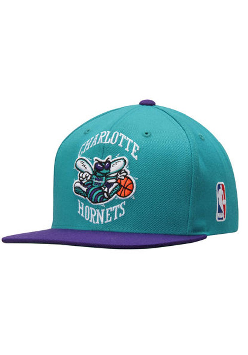 CHARLOTTE HORNETS